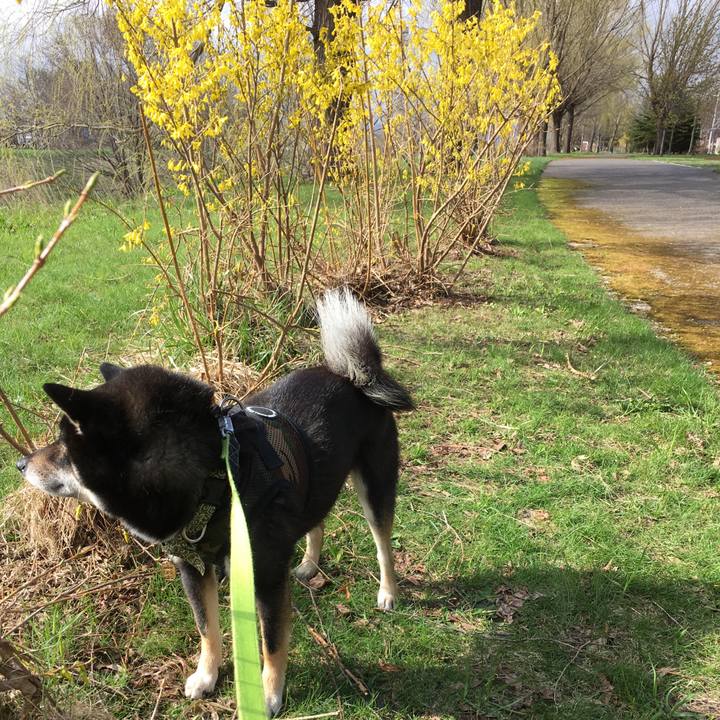 E33a1da2 735e 4ad5 aee7 cb75c2f6267e