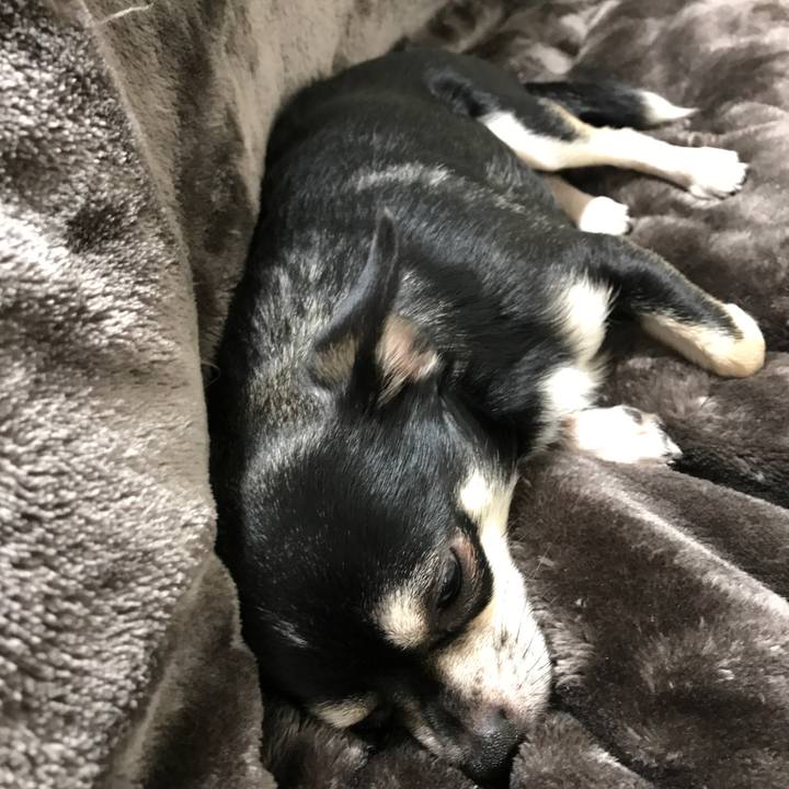 E33a831d e0f4 4805 88f9 d42a13c2e85b