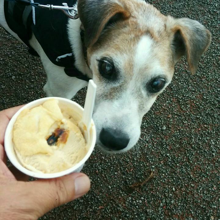 E33b50c5 ea00 46c0 a8ec 5e12de4ea879