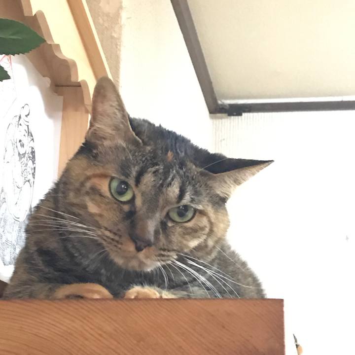 E33cf362 72d6 40fb b41d a8a6bcf479a8