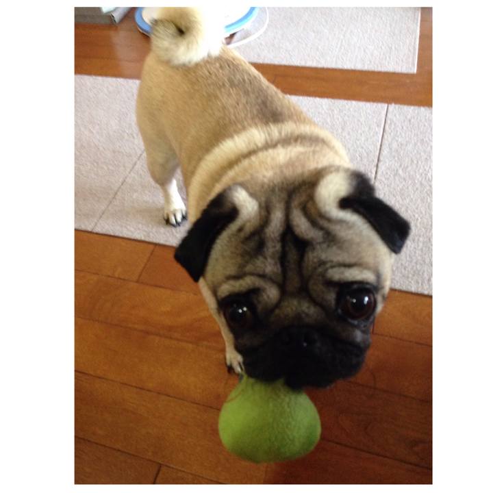 E33d5c23 6e7b 4280 8458 b00d70f5865c