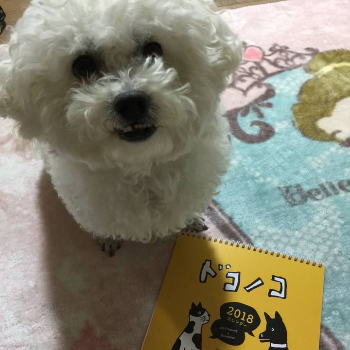 E33d7e3d 8b63 4b2d bd0b 52a7bf439772