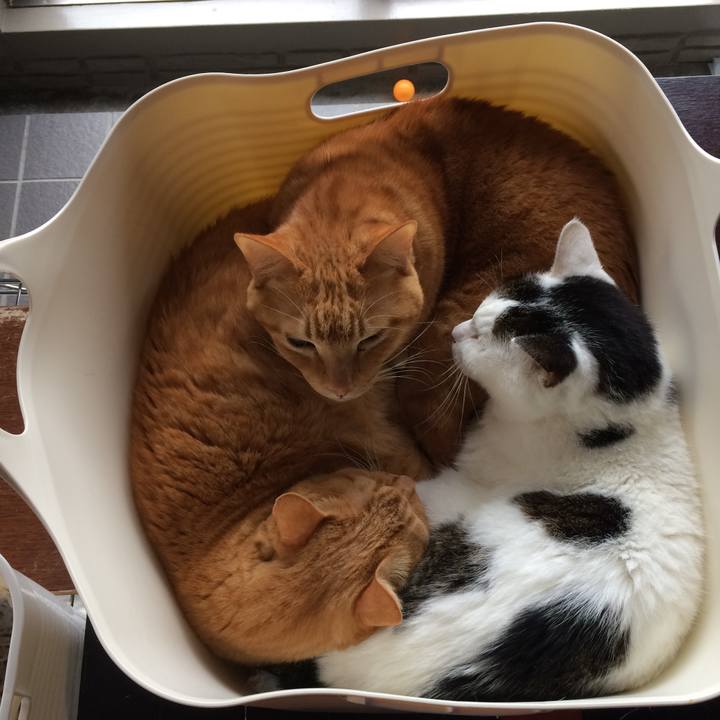 E33dad2c 120e 4b2b acc8 403bc21abb87