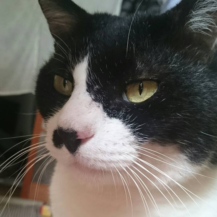 E33e02c2 8014 4766 9af8 e12b589ee0e0