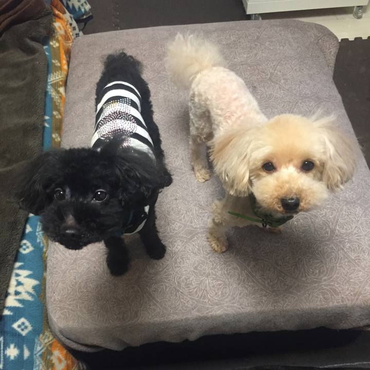 E33e3bd6 35f9 4a93 bbee c9a947fe6a98