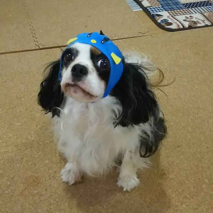 E33e76a7 18bd 418c 9ec4 5d080268f943