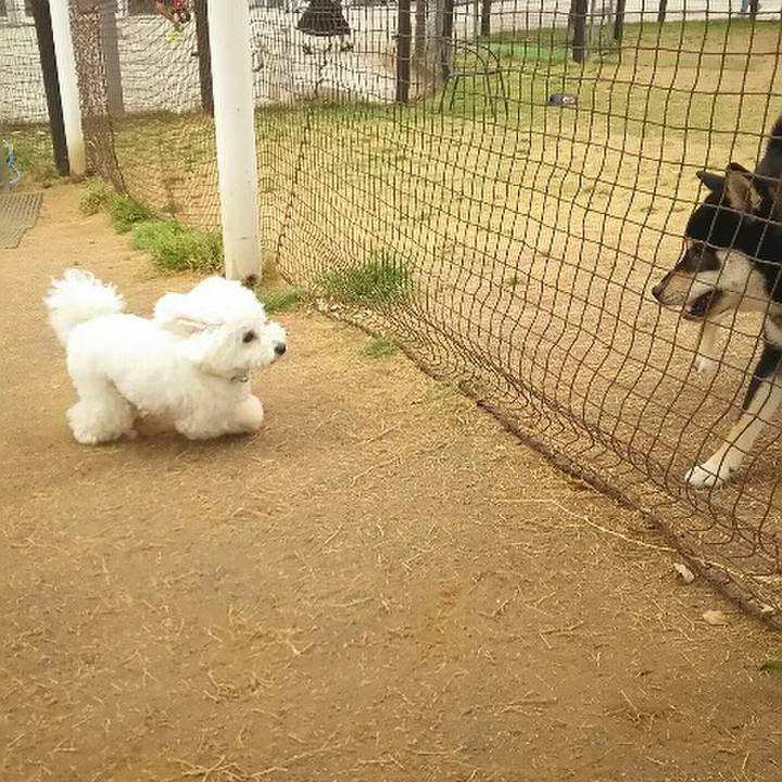 E33ed035 787f 48d3 b256 81464fbde1f5