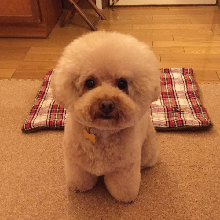 E33f74f6 b606 4abd 9603 ec0814f23cd9