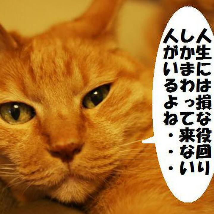 E33f869a 00ed 4f81 81e6 a6d0396c2076