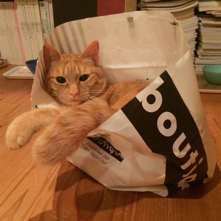 E33fb56f b1c3 4420 a51c 10db3506127a