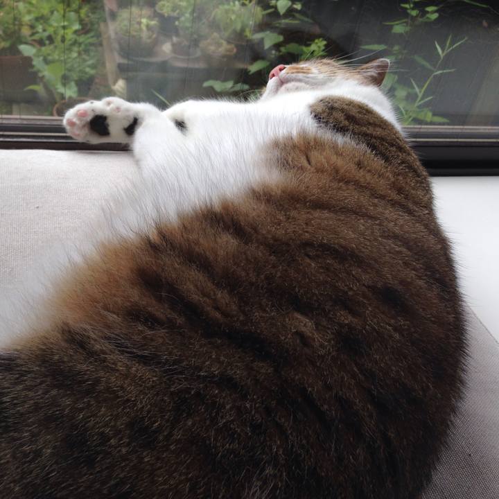 E33fc0ee b51e 4406 8b09 60650ac38790