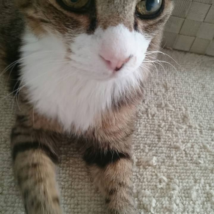 E3401834 aa28 4599 9738 d222be688fdc