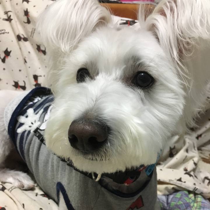 E3405a3a db22 4a77 8540 b3d4bce1ddfc