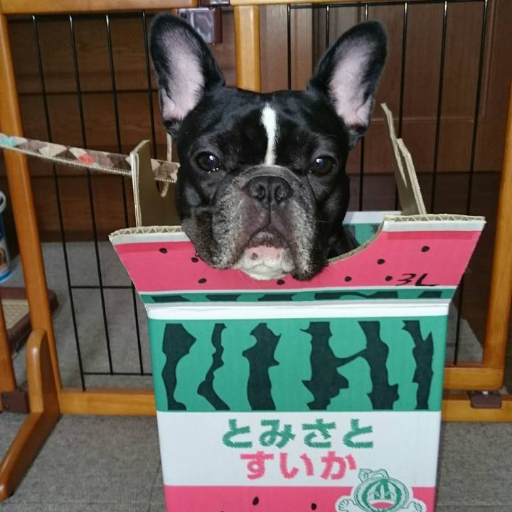 E3405c4f ae35 4622 8609 31679a44d23b