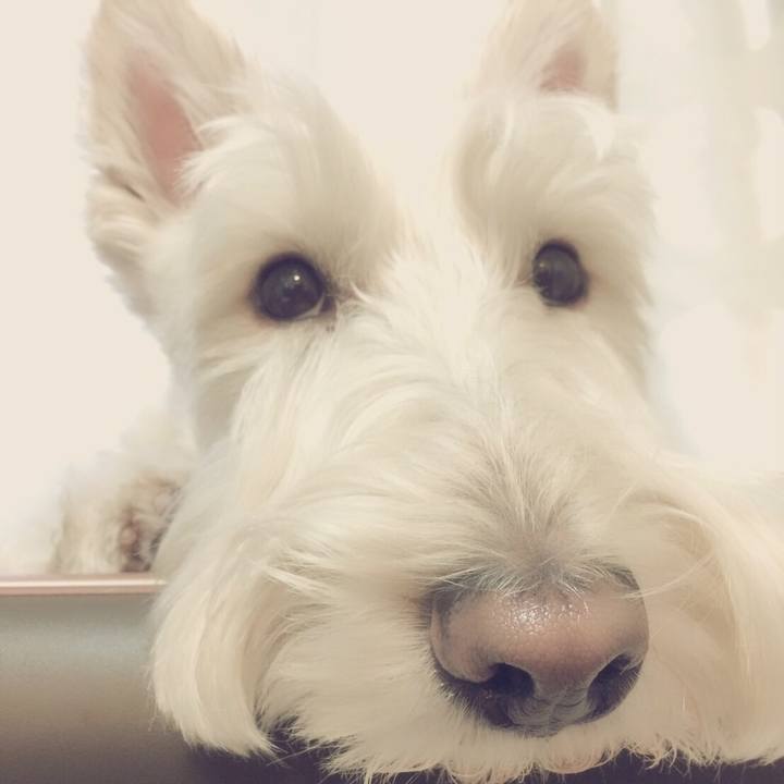 E340f9d8 f148 4fe7 b3c0 e7dfddfe8568