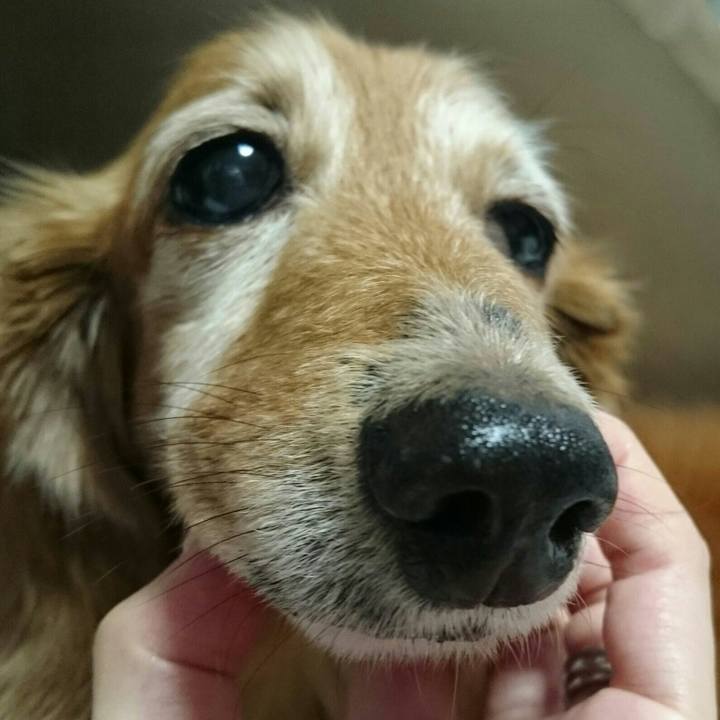 E341d54b 89fe 4a0d bc1a fd9a97a7dd37