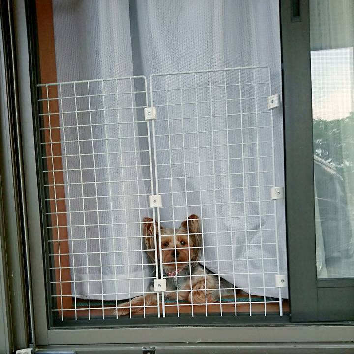 E341efb9 32ef 4b1b b8db 11f4740f4824