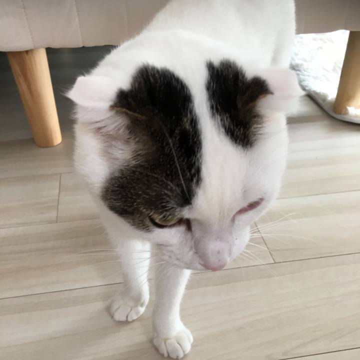 E3421f0a 7f62 4156 846e 0c95dcb74029