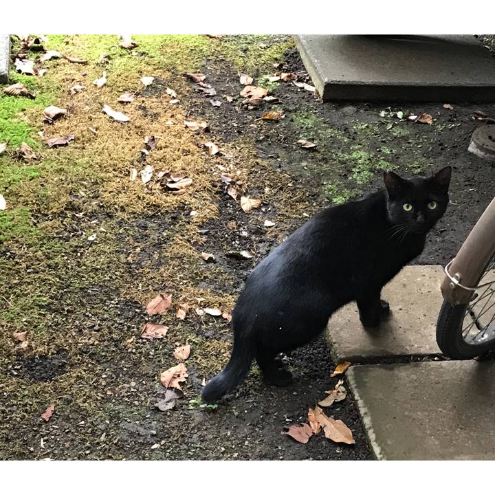 E342d39e 3483 4069 8296 c7cbb6c4f52d