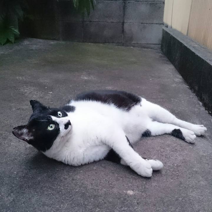 E342f245 a91d 4778 b25e 8347a6394a2a