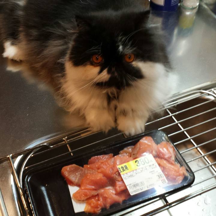 E342f31c a477 4d82 80bc ab47da68139e