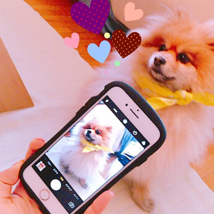 E343aa25 a645 4240 8a25 83a211951c02