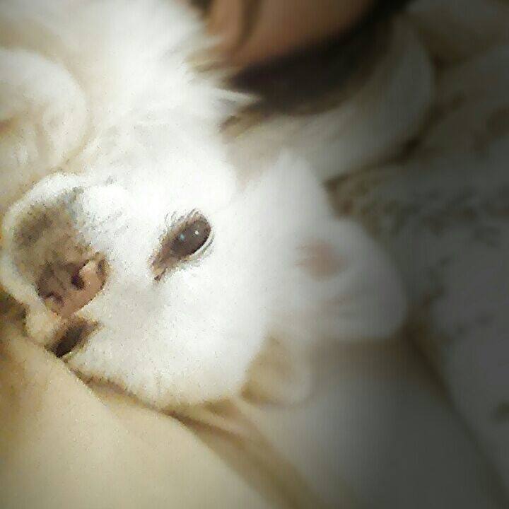 E343dc3d 1fb7 4cc4 8c98 e47cf19e68c6