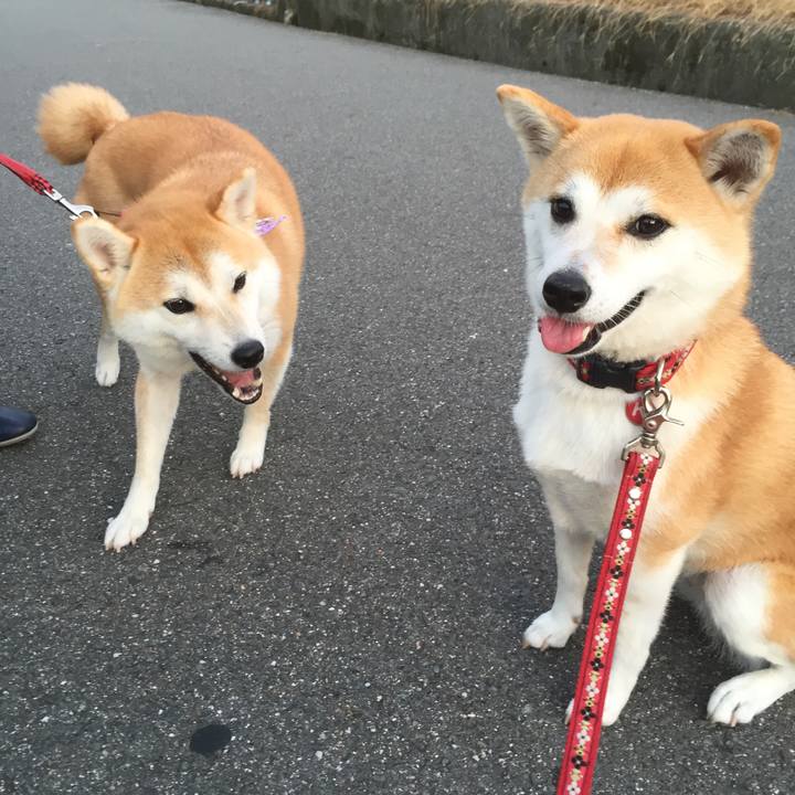 E344469e dc4a 4c72 a95a e8b0eee234b4