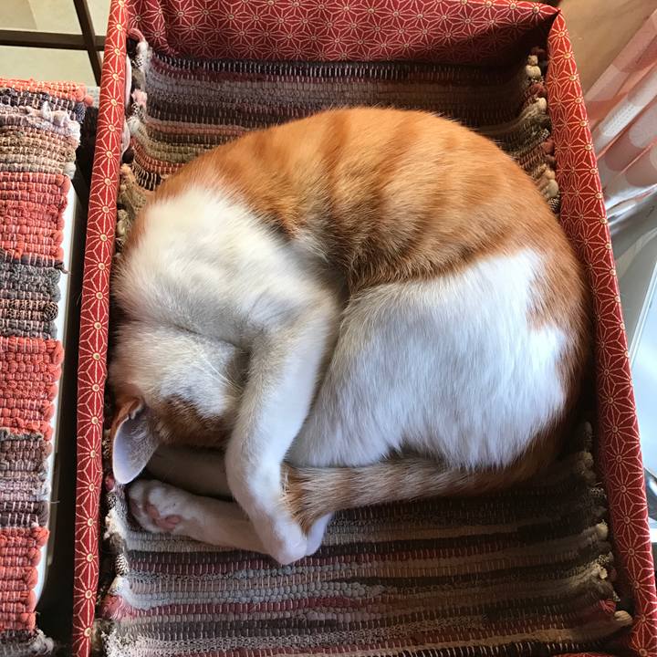 E3449f72 530b 4443 a019 2c2b0c7426d7