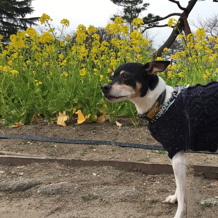 E3450d47 902d 4b74 9b2c 264012b845b8