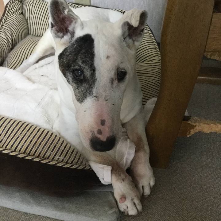 E3451c00 66b3 476c 81f5 4b8d881fe19b