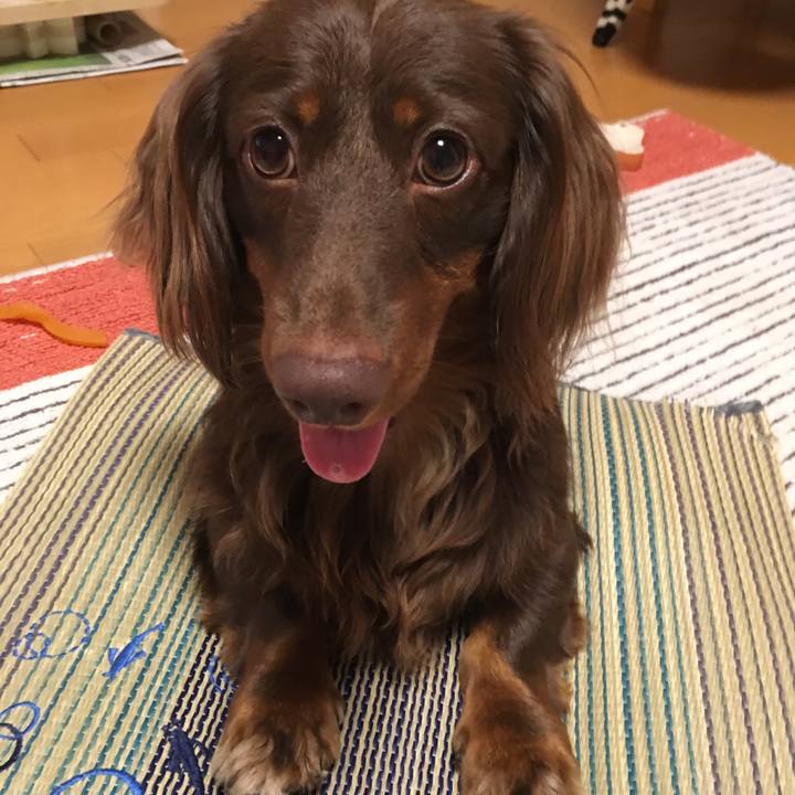 E345921e 5e02 460c 8162 4519756a416b