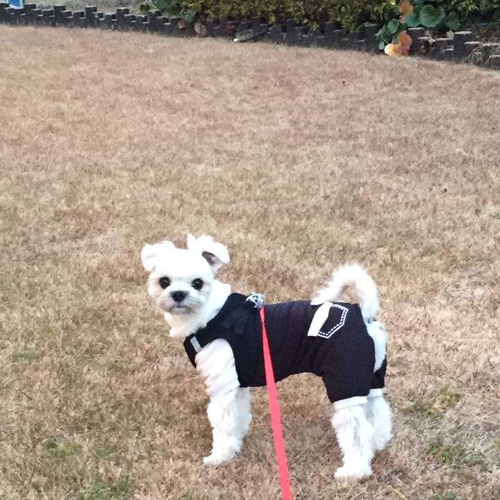 E345b0f5 d89d 4d10 9e40 18a7b6e634d7