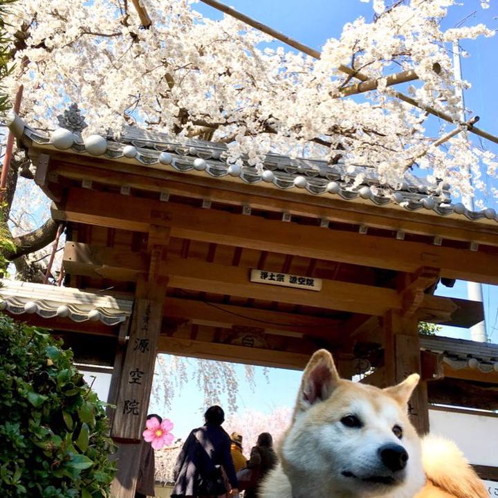 E34624e8 2e2f 4aa3 9c92 1a0afdc8af17