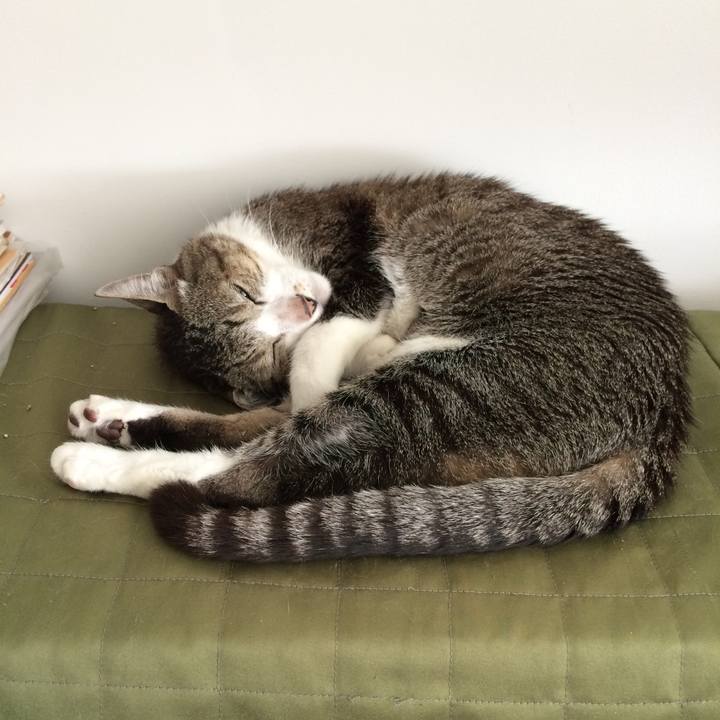 E34672c8 7cb2 45c2 a0ef 5c9c82bb4e8e