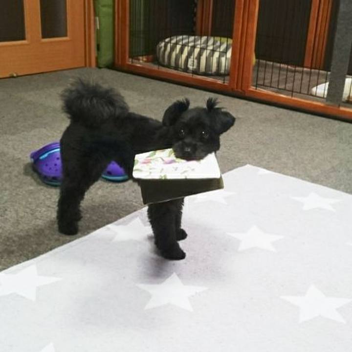 E346daa6 3db6 47f7 aa06 44e42b894719