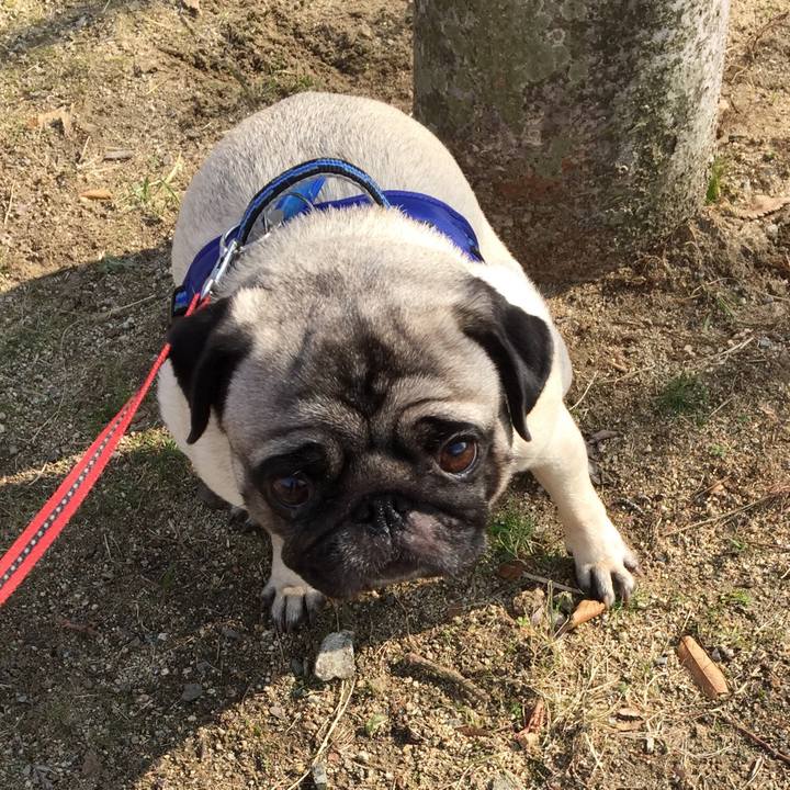 E346e502 5e0a 4188 bfda fff360eba8bf