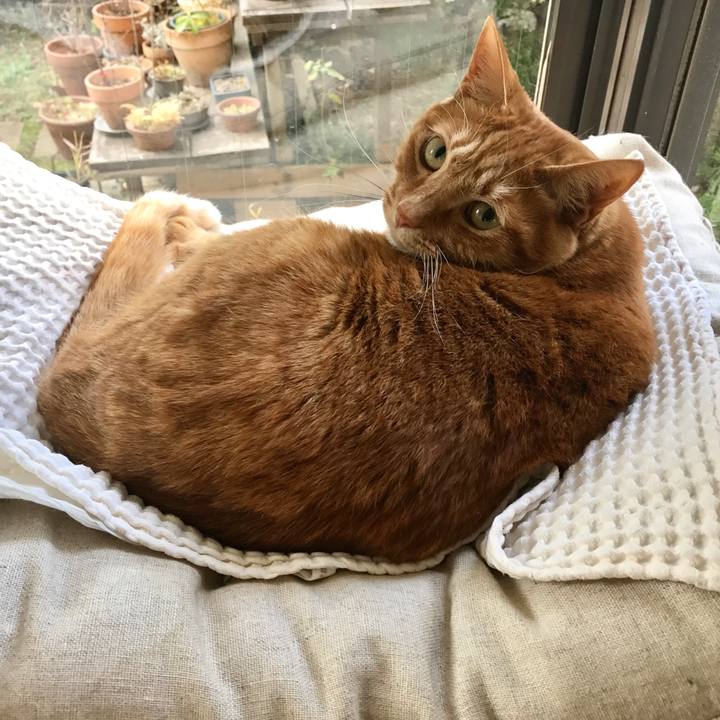 E346fc43 244d 4ebe 829e 8fe0da34d122