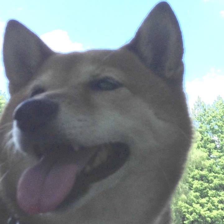 E3480148 9db6 4134 bfa9 98eb0602d590