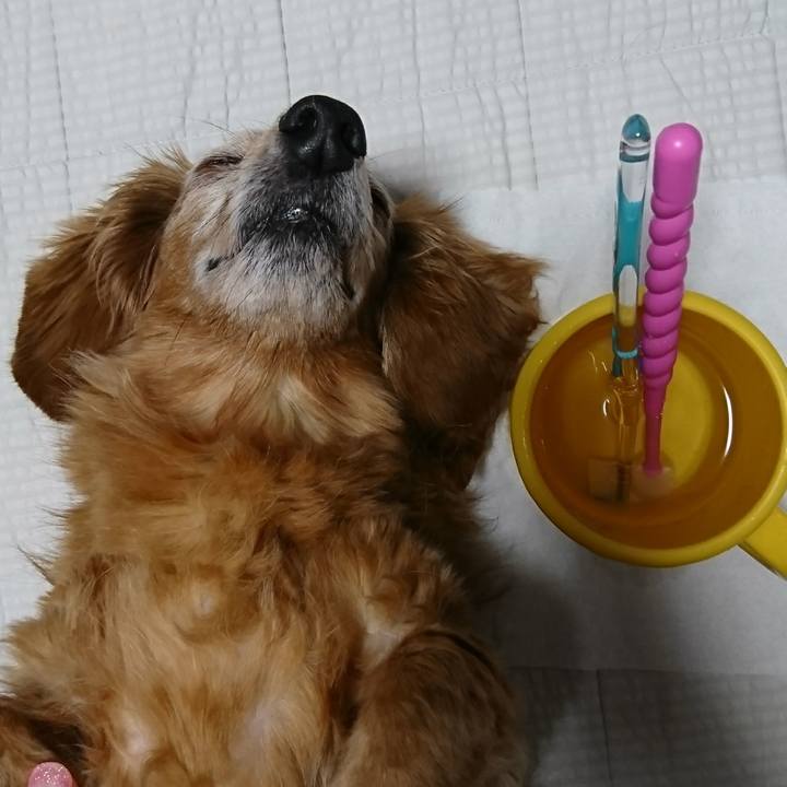 E3480821 fe89 4be5 922d 67db4d0d817c