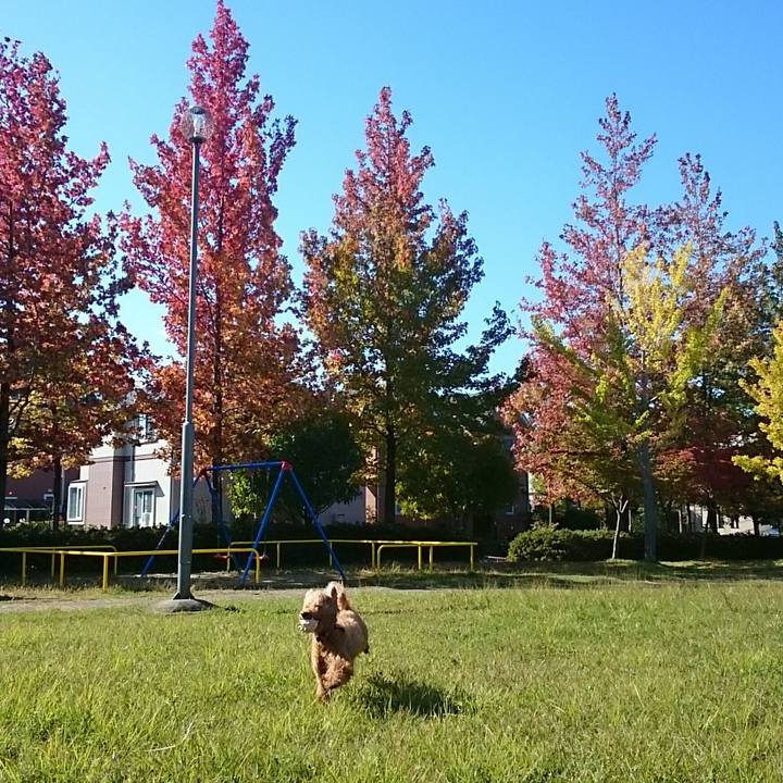 E348503d 3e51 4fa7 9dc6 05b3f66e7d3d