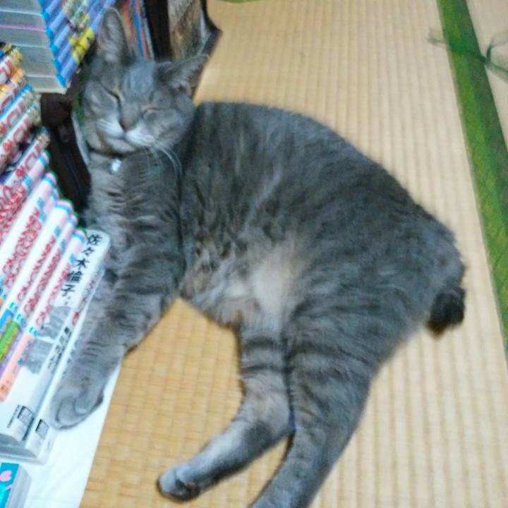 E3489d7f 2e66 468e 97cd 136ee504bd34