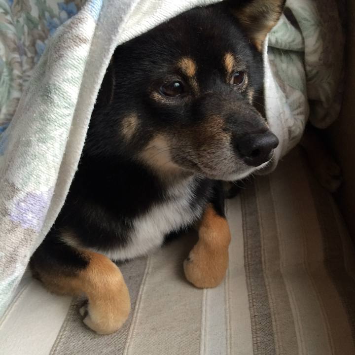 E348da95 ab8c 46bd b209 02110d8f161b