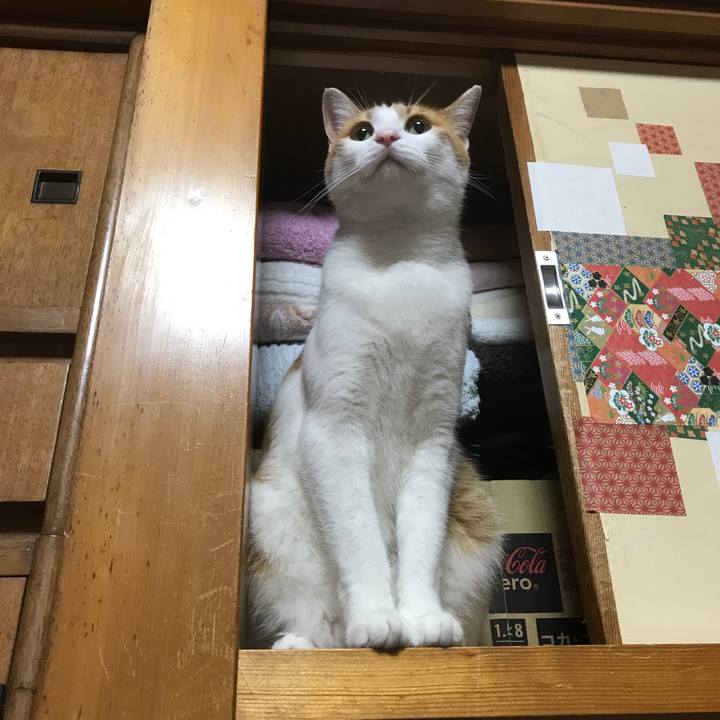 E3490288 64c2 4e87 acee 7dd97820bd40