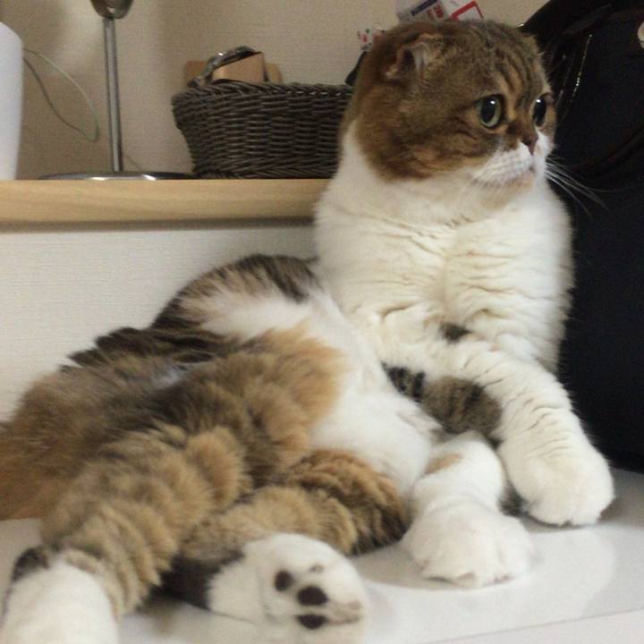 E34a386d c20b 428e 94a0 2c07944953fe