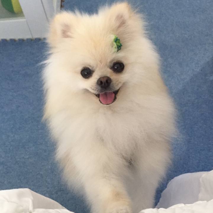 E34af64e dc6c 4076 b5c2 799a1c250e07