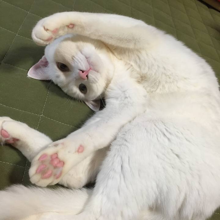 E34b2fb5 398f 49e5 9043 1257f823c964