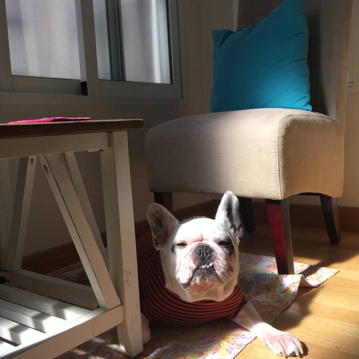 E34b581e 662f 4ea4 b9cb 851bd84bddf6