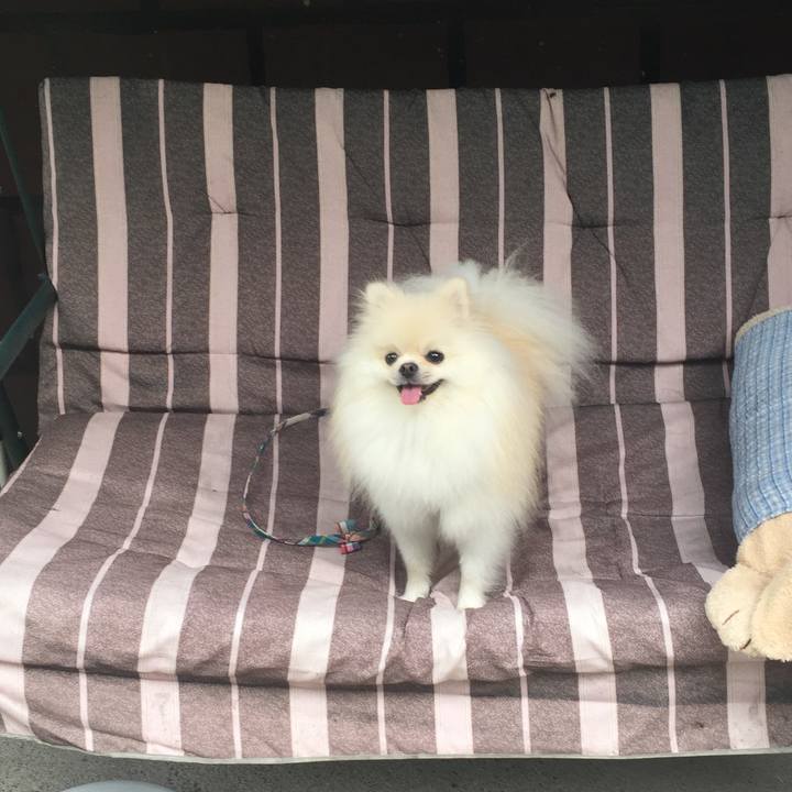 E34b83f8 939c 40ad b488 81099d318354