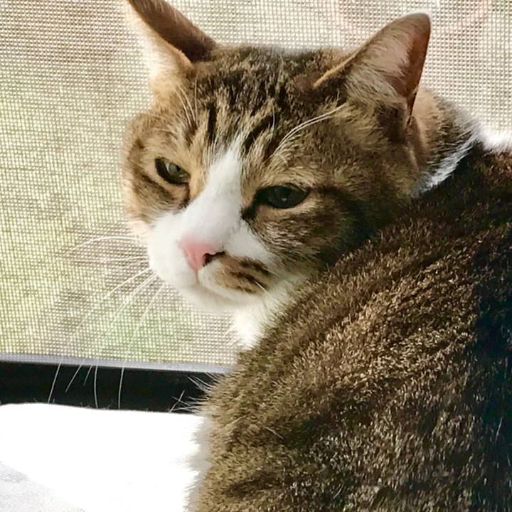 E34b8c0f 77f6 4020 a6bb aa2d20397863